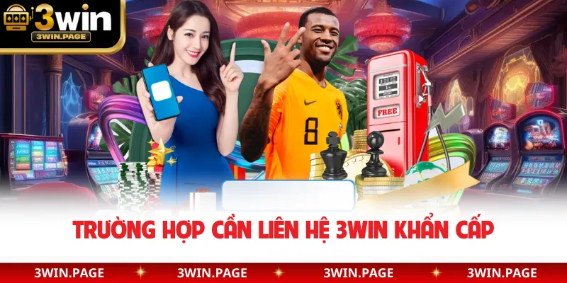 Trường hợp cần liên hệ 3WIN khẩn cấp